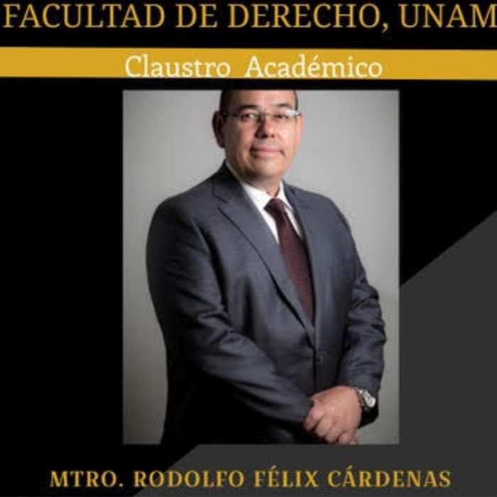 Congreso Internacional Virtual de Derecho Penal: Derecho Penal Económico